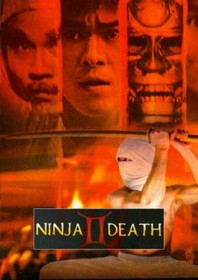 Ninja Death II (1987) Ninja Death II (1987)