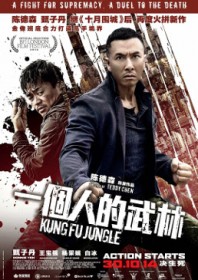 Kung Fu Jungle (2014) Kung Fu Jungle (2014)