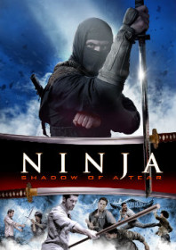 Ninja: Shadow of a Tear (2013) Ninja: Shadow of a Tear (2013)
