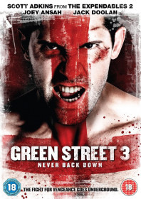 Green Street 3: Never Back Down (2013) Green Street 3: Never Back Down (2013)