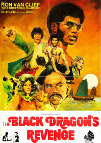 The Black Dragon’s Revenge (1975) The Black Dragon’s Revenge (1975)
